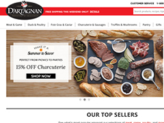 Web & UI Design